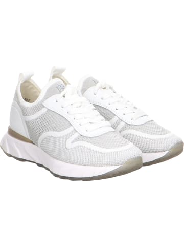 Paul Green Freizeit Schnürer für Damen in grau