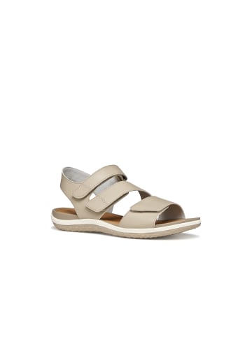 Geox Sandalette in beige
