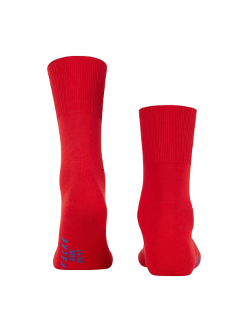 Falke Socken 2er Pack in Rot