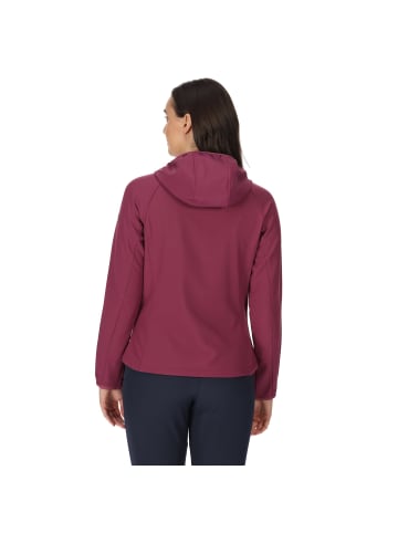 Regatta Wanderjacke Arec III in AmaranthHaze