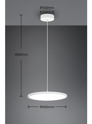 Trio Leuchten Pendelleuchte TRAY in weiß matt