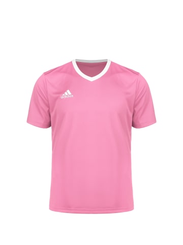 adidas Performance Trikot Entrada 22 in rosa / weiß