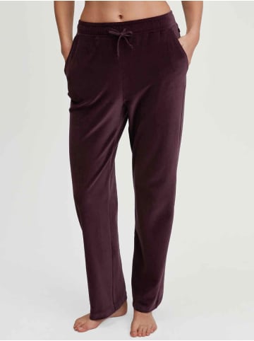 Calida Damen Sporthose in Black cher