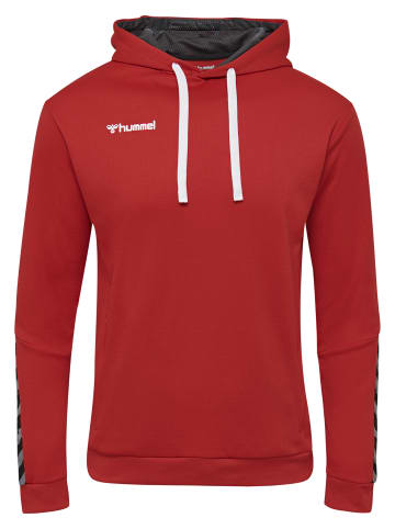 Hummel Hummel Kapuzenpullover Hmlauthentic Herren in TRUE RED