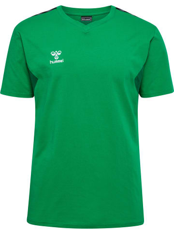 Hummel Hummel T-Shirt Hmlauthentic Herren in JELLY BEAN