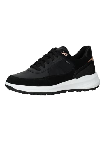 Geox Sneaker in Schwarz