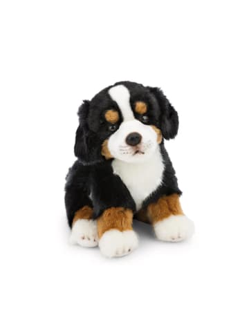 Nici Kuscheltier Hund Berner Sennenhund, Lifelike Kollektion, 20cm