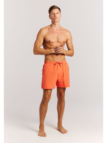 Protest " PRTIgapo in Burnt Peach