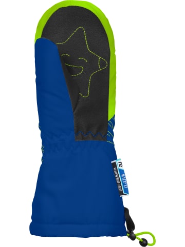 Reusch Fäustling Maxi R-TEX XT Mitten in surf the web/green gecko