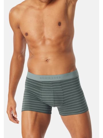 Schiesser Retro Short / Pant 95/5 Cotton in Dunkelblau / grün