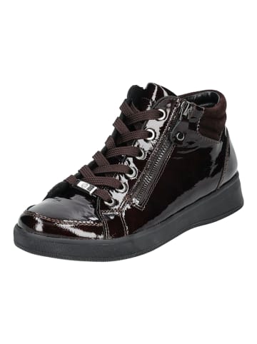 ara Sneaker in Marone
