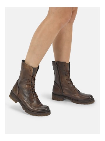 Felmini Stiefelette CASTER Braun