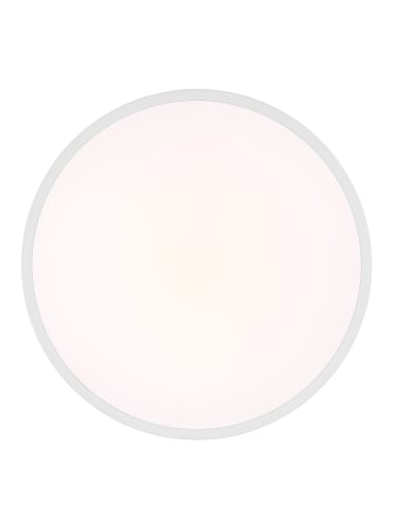 Globo lighting Deckenleuchte "NIELSEN" in white