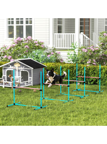Pawhut Hunde Agility Set Hellblau Kunststoff