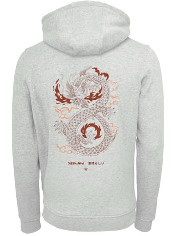 F4NT4STIC Hoodie Dragon fire in grau meliert