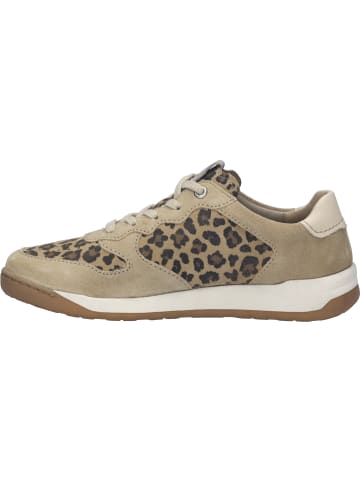 Josef Seibel Sneaker Arleen 02 in beige