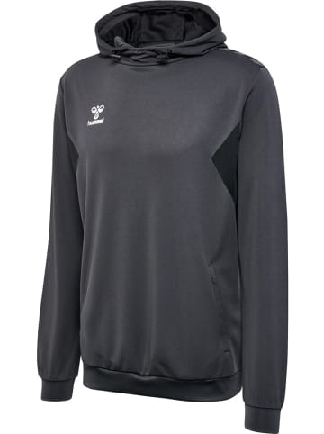 Hummel Hoodie "Hmlauthentic Pl Hoodie" in Grau