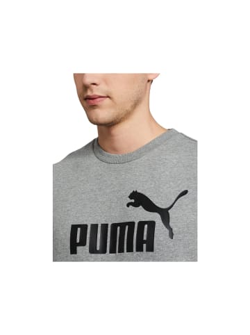Puma Sweatshirts in grau