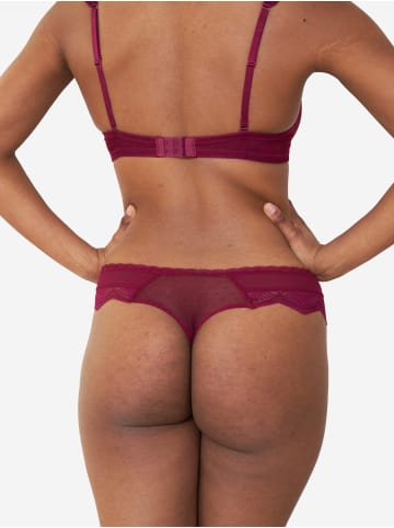 SugarShape String CLARA in bordeaux