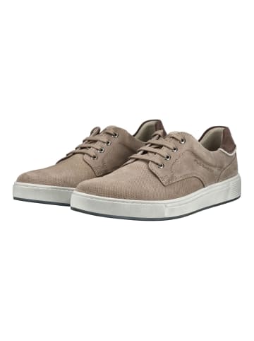 Pius Gabor Sneaker in Beige/Grau