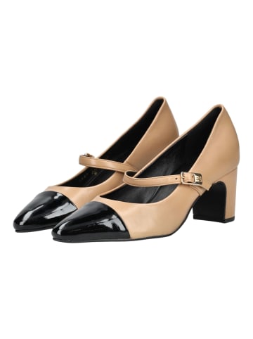 Högl Pumps in Braun/Schwarz