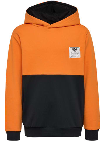 Hummel Hummel Hoodie Hmlozzy Multisport Jungen Atmungsaktiv in PERSIMMON ORANGE