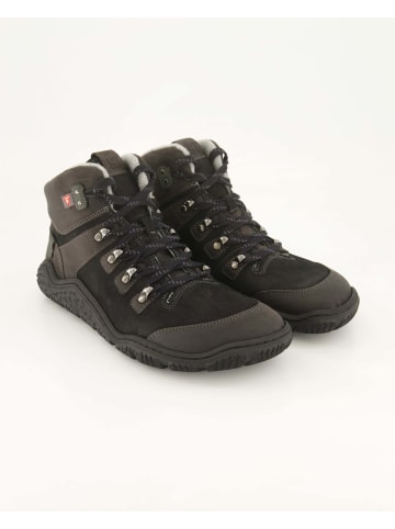 KOEL Schnürstiefeletten in Schwarz