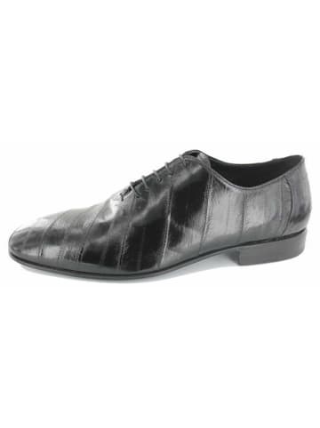 LANCIOR Schnürschuhe in schwarz