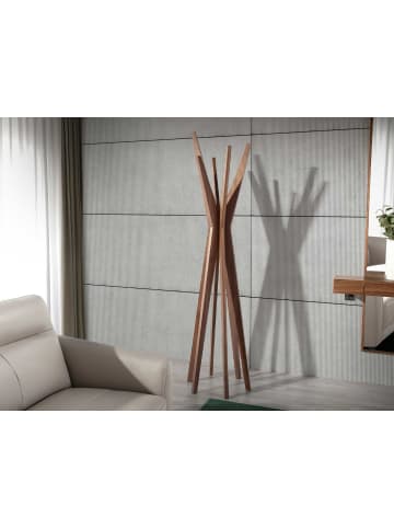 Angel Cerdá Garderobenständer 3238 in Walnuss – (B)50 x (H)190 x (T)50 cm