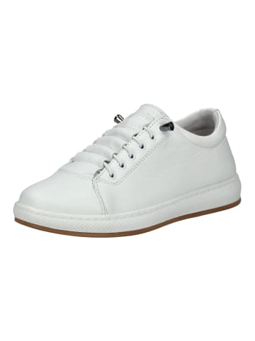 Andrea Conti Sneaker in Weiß