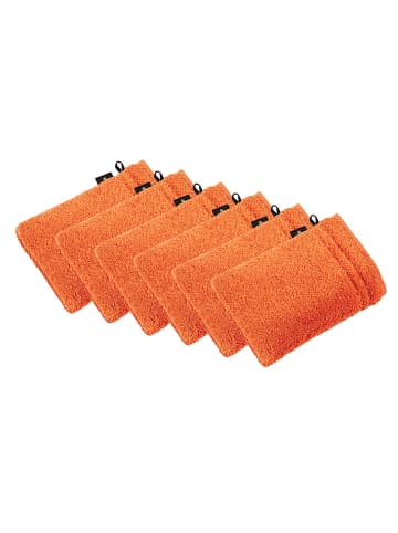 Vossen 6er Pack Waschhandschuh in fiesta