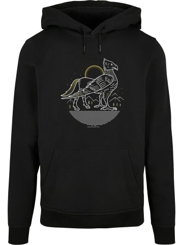 Absolute Cult Absolute Cult Kapuzenpullover in black