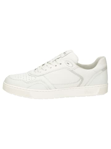 Sioux Sneaker Tedroso-704 in weiß