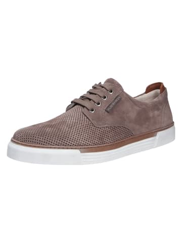 Pius Gabor Sneaker in grau