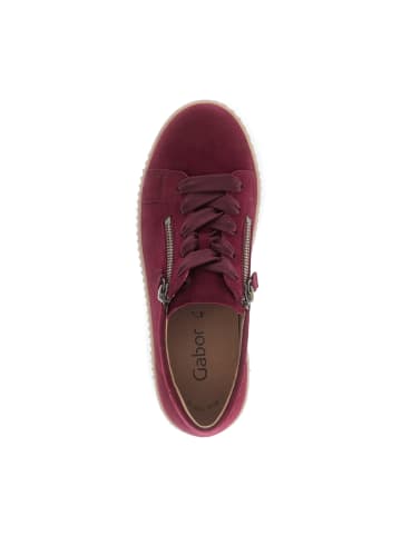 Gabor Sportliche Schnürschuhe in Rot
