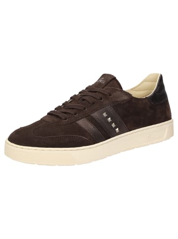 Sioux Sneaker Maites sneaker 005 in dunkelbraun