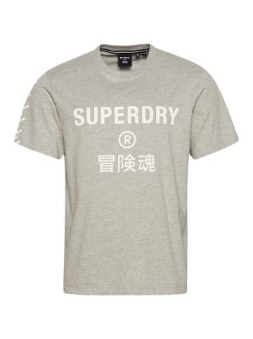 Superdry T-Shirt in Hellgrau