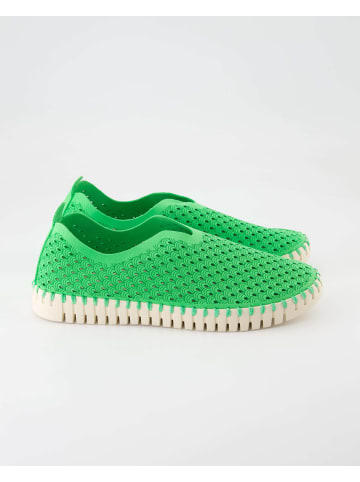 Ilse Jacobsen Slipper in Grün