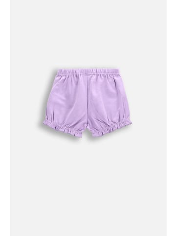 Coccodrillo Kurze Hosen in violett