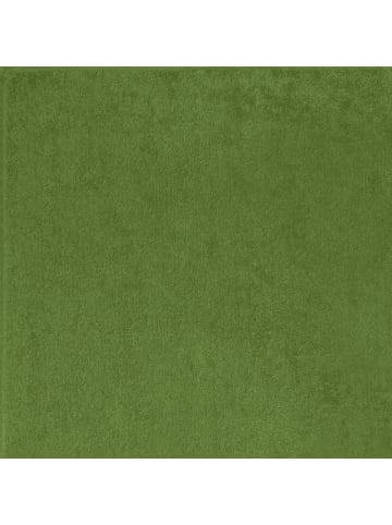 REDBEST Frottier Waschhandschuh 12er-Pack Chicago in grün