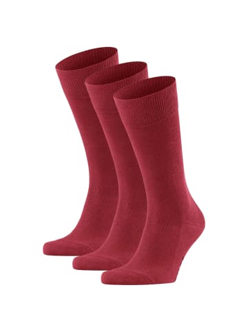 Falke Socken 3er Pack in Rot