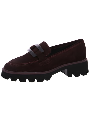 Ara Shoes Mokassin  in Braun