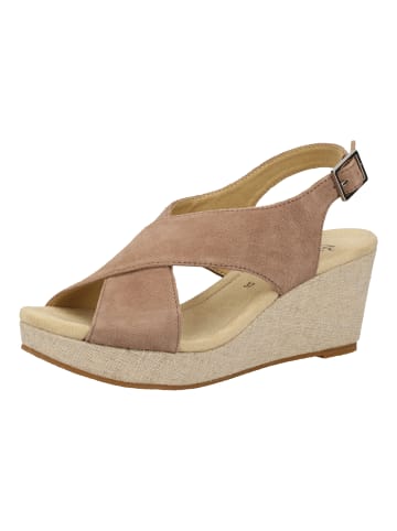 ara Sandalen in Taupe