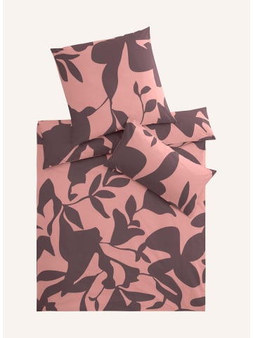 Hessnatur Renforcé Bettwäsche in brombeersorbet