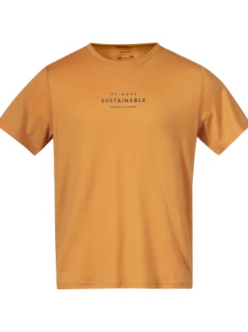 Bergans T-Shirt GRAPHIC WOOL M TEE in Orange