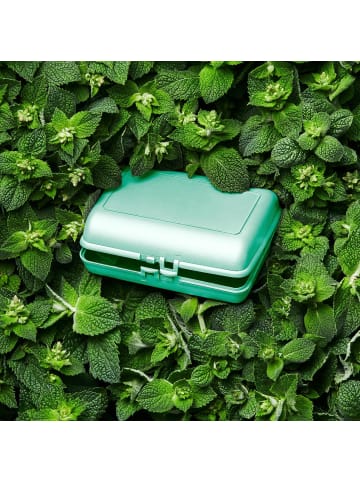 elasto Bio-Vorratsdose "Switch" in haselnuss