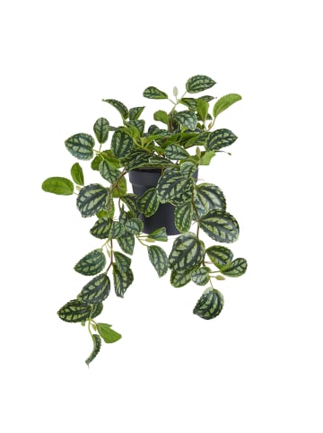 Butlers Kunstblume FLORISTA Plea Cadariiere in Grün