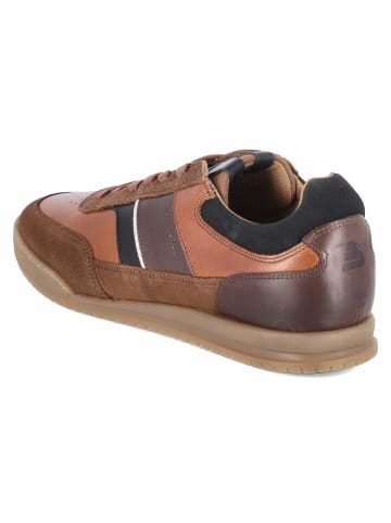 Bullboxer Schuh in braun