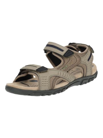 Geox Wanderschuhe in Sand