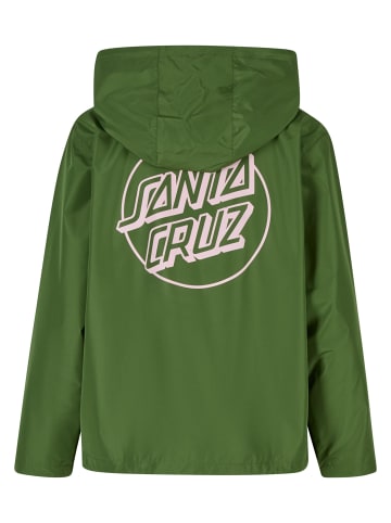 Santa Cruz Santa Cruz in cactus